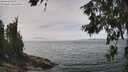 ./images/koeye/fitz-hugh/20260622/fitz-hugh20260622_135501M.jpg
