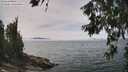 ./images/koeye/fitz-hugh/20260622/fitz-hugh20260622_140001M.jpg