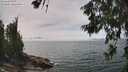 ./images/koeye/fitz-hugh/20260622/fitz-hugh20260622_141001M.jpg