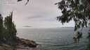 ./images/koeye/fitz-hugh/20260622/fitz-hugh20260622_141502M.jpg