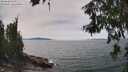 ./images/koeye/fitz-hugh/20260622/fitz-hugh20260622_143002M.jpg
