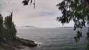 ./images/koeye/fitz-hugh/20260622/fitz-hugh20260622_144501M.jpg