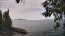 ./images/koeye/fitz-hugh/20260622/fitz-hugh20260622_145001M.jpg