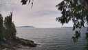 ./images/koeye/fitz-hugh/20260622/fitz-hugh20260622_145501M.jpg