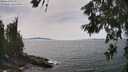 ./images/koeye/fitz-hugh/20260622/fitz-hugh20260622_150501M.jpg