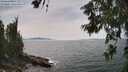 ./images/koeye/fitz-hugh/20260622/fitz-hugh20260622_152002M.jpg