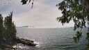 ./images/koeye/fitz-hugh/20260622/fitz-hugh20260622_154501M.jpg