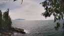 ./images/koeye/fitz-hugh/20260622/fitz-hugh20260622_155001M.jpg
