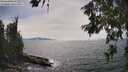 ./images/koeye/fitz-hugh/20260622/fitz-hugh20260622_155501M.jpg