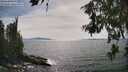 ./images/koeye/fitz-hugh/20260622/fitz-hugh20260622_161001M.jpg
