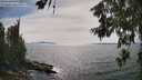 ./images/koeye/fitz-hugh/20260622/fitz-hugh20260622_161501M.jpg