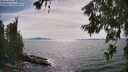 ./images/koeye/fitz-hugh/20260622/fitz-hugh20260622_162501M.jpg