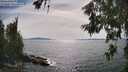 ./images/koeye/fitz-hugh/20260622/fitz-hugh20260622_163501M.jpg