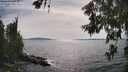 ./images/koeye/fitz-hugh/20260622/fitz-hugh20260622_164501M.jpg