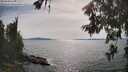 ./images/koeye/fitz-hugh/20260622/fitz-hugh20260622_165501M.jpg