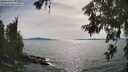 ./images/koeye/fitz-hugh/20260622/fitz-hugh20260622_170501M.jpg