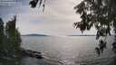 ./images/koeye/fitz-hugh/20260622/fitz-hugh20260622_171501M.jpg