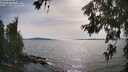 ./images/koeye/fitz-hugh/20260622/fitz-hugh20260622_172002M.jpg