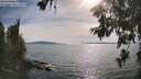./images/koeye/fitz-hugh/20260622/fitz-hugh20260622_174001M.jpg