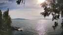 ./images/koeye/fitz-hugh/20260622/fitz-hugh20260622_175002M.jpg