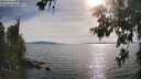 ./images/koeye/fitz-hugh/20260622/fitz-hugh20260622_181001M.jpg