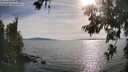 ./images/koeye/fitz-hugh/20260622/fitz-hugh20260622_181501M.jpg