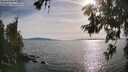 ./images/koeye/fitz-hugh/20260622/fitz-hugh20260622_182001M.jpg