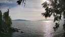 ./images/koeye/fitz-hugh/20260622/fitz-hugh20260622_182501M.jpg