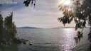 ./images/koeye/fitz-hugh/20260622/fitz-hugh20260622_183001M.jpg