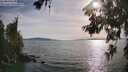 ./images/koeye/fitz-hugh/20260622/fitz-hugh20260622_183501M.jpg