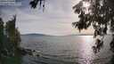 ./images/koeye/fitz-hugh/20260622/fitz-hugh20260622_184001M.jpg