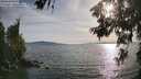 ./images/koeye/fitz-hugh/20260622/fitz-hugh20260622_185002M.jpg