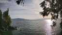 ./images/koeye/fitz-hugh/20260622/fitz-hugh20260622_185501M.jpg