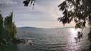 ./images/koeye/fitz-hugh/20260622/fitz-hugh20260622_190501M.jpg