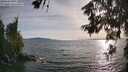 ./images/koeye/fitz-hugh/20260622/fitz-hugh20260622_191001M.jpg