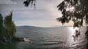 ./images/koeye/fitz-hugh/20260622/fitz-hugh20260622_191501M.jpg