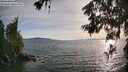 ./images/koeye/fitz-hugh/20260622/fitz-hugh20260622_192501M.jpg