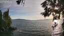 ./images/koeye/fitz-hugh/20260622/fitz-hugh20260622_194001M.jpg