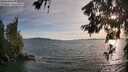 ./images/koeye/fitz-hugh/20260622/fitz-hugh20260622_194501M.jpg