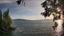 ./images/koeye/fitz-hugh/20260622/fitz-hugh20260622_200501M.jpg