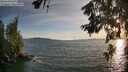 ./images/koeye/fitz-hugh/20260622/fitz-hugh20260622_201001M.jpg