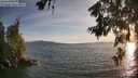./images/koeye/fitz-hugh/20260622/fitz-hugh20260622_202002M.jpg