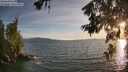 ./images/koeye/fitz-hugh/20260622/fitz-hugh20260622_202501M.jpg