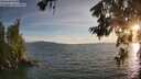 ./images/koeye/fitz-hugh/20260622/fitz-hugh20260622_203001M.jpg