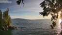 ./images/koeye/fitz-hugh/20260622/fitz-hugh20260622_203501M.jpg