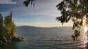 ./images/koeye/fitz-hugh/20260622/fitz-hugh20260622_204001M.jpg