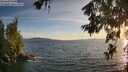 ./images/koeye/fitz-hugh/20260622/fitz-hugh20260622_204501M.jpg