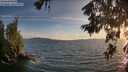 ./images/koeye/fitz-hugh/20260622/fitz-hugh20260622_205001M.jpg