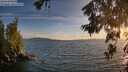 ./images/koeye/fitz-hugh/20260622/fitz-hugh20260622_205501M.jpg