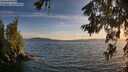 ./images/koeye/fitz-hugh/20260622/fitz-hugh20260622_210001M.jpg